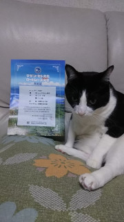 サザンセト大島ロードレース